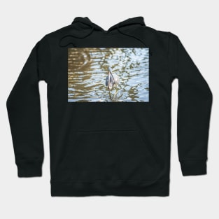 Heron 3 Hoodie